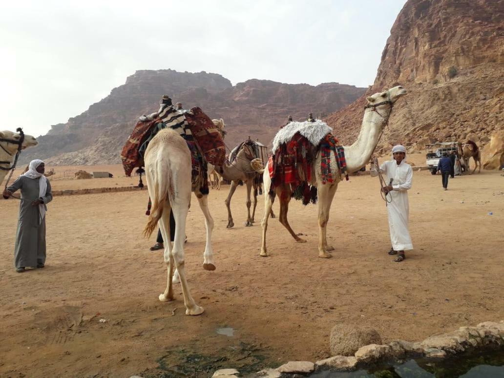 Wadi Rum Bedouin Time 外观 照片